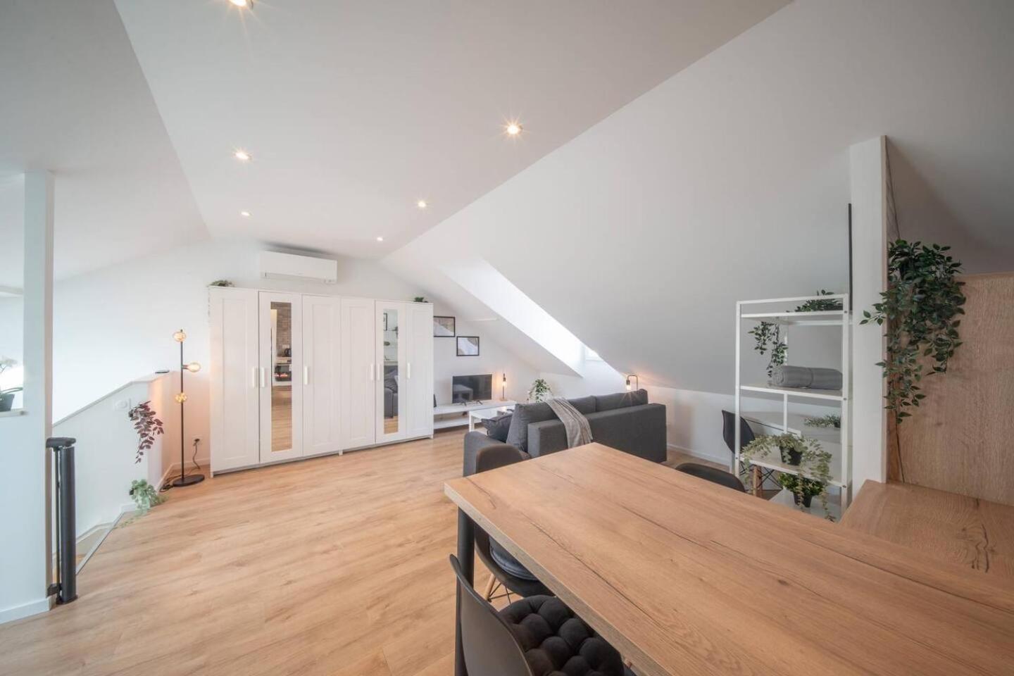 Superbe Appartement Climatise Parking Free Special Eurovision Mulhouse Exterior foto